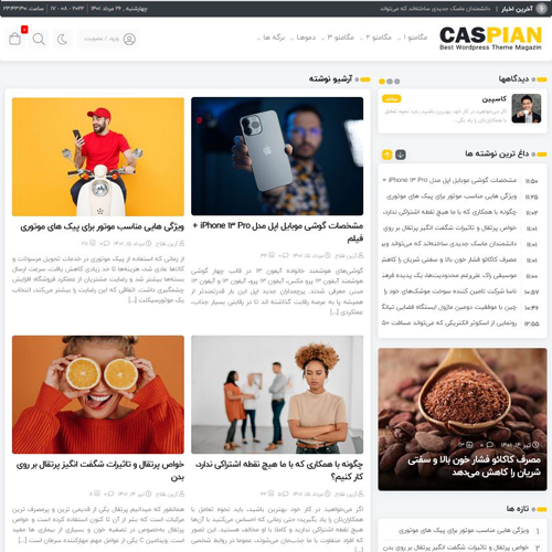 آرشیو ۲ قالب وردپرس کاسپین